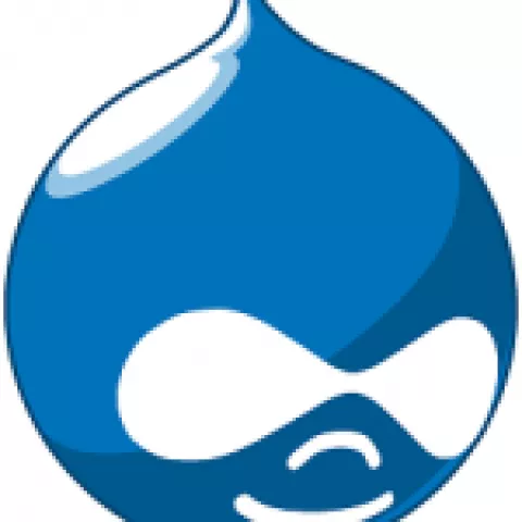 Drupal versus Proprietary CMS