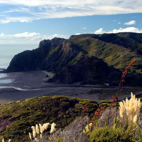 Enhancing Web Accessibility in Aotearoa